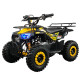 Детский квадроцикл ATV Classic mini 4T PRO