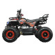 Детский квадроцикл ATV Classic mini 4T PRO
