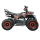 Детский квадроцикл ATV Classic mini 4T PRO