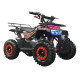 Детский квадроцикл ATV Classic mini 4T PRO
