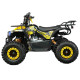 Детский квадроцикл ATV Classic mini 4T PRO