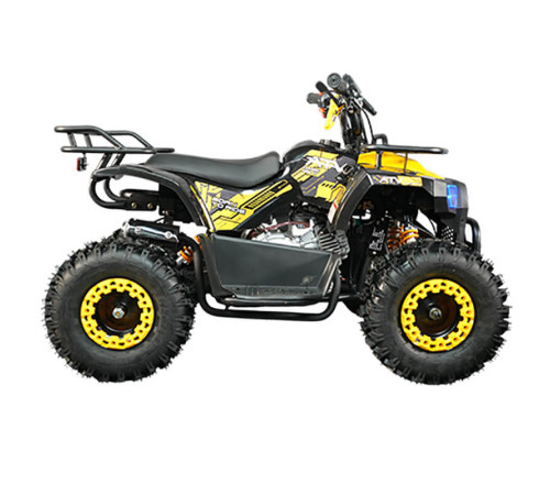 Детский квадроцикл ATV Classic mini 4T PRO