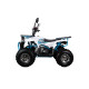 Квадроцикл AURA 125 Premium
