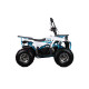 Квадроцикл AURA 125 Premium