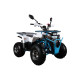 Квадроцикл AURA 125 Premium