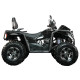Квадрицикл Avantis Hunter Max 450 EFI Premium (4х4)