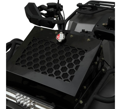 Квадрицикл Avantis Veron Max 400 EFI Premium с ПТС