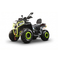 Квадрицикл Avantis Hammer 280L Lux с ПТС