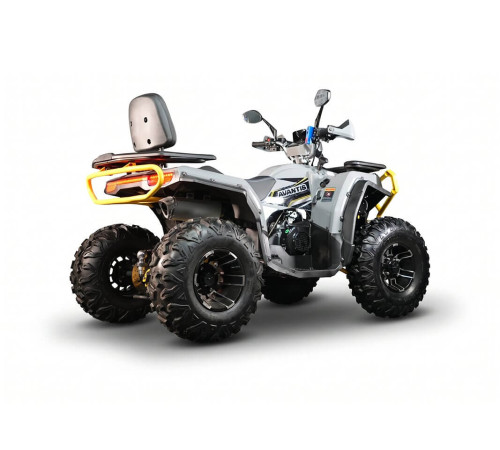 Квадрицикл Avantis Hammer 280L Pro