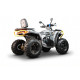 Квадрицикл Avantis Hammer 280L Pro