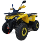 Квадроцикл GLADIATOR F200 LUX