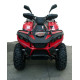 Квадроцикл LINHAI-YAMAHA D300