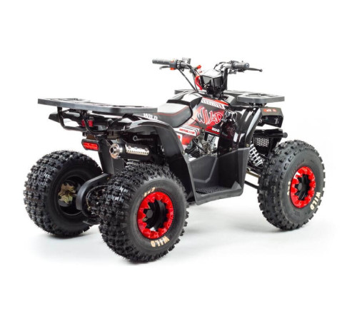 Квадроцикл MOTOLAND WILD 150