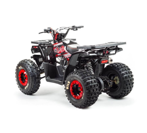 Квадроцикл MOTOLAND WILD 150