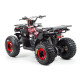 Квадроцикл MOTOLAND WILD 150