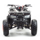 Квадроцикл MOTOLAND WILD 150