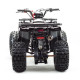 Квадроцикл MOTOLAND WILD 150