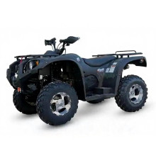 Квадроцикл Wels 400