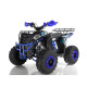 Квадроцикл WELS THUNDER EVO