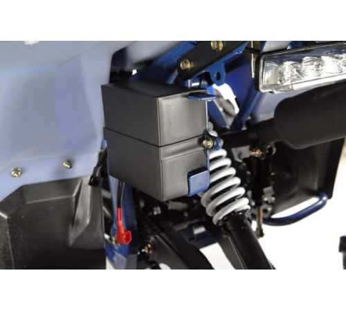 Квадроцикл WELS THUNDER EVO