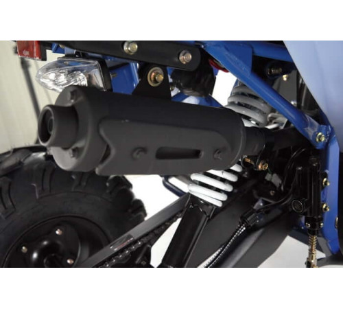 Квадроцикл WELS THUNDER EVO