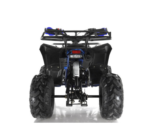 Квадроцикл WELS THUNDER EVO