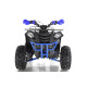 Квадроцикл WELS THUNDER EVO