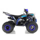 Квадроцикл WELS THUNDER EVO