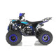 Квадроцикл WELS THUNDER EVO