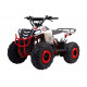 Квадроцикл WELS THUNDER EVO M детский