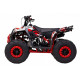 Квадроцикл WELS THUNDER EVO M детский