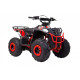 Квадроцикл WELS THUNDER EVO M детский