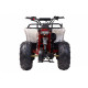 Квадроцикл WELS THUNDER EVO M детский