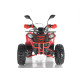 Квадроцикл WELS THUNDER EVO X