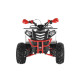 Квадроцикл WELS THUNDER EVO X ST