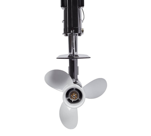 Лодочный мотор Avantis T9.8 (S)