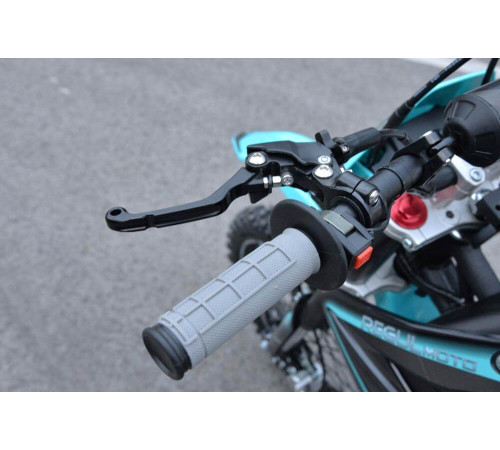 Мотоцикл REGULMOTO Seven Medalist Pro 17/14 PITBIKE